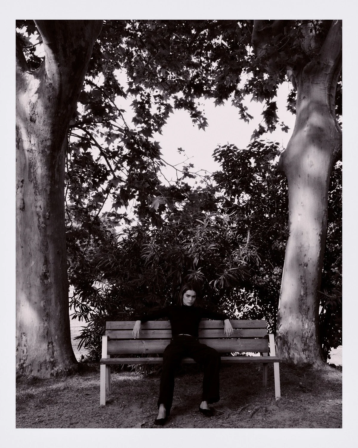 A woman sitting on a park bench between two large trees with broad leaves, surrounded by dense foliage, featured in black and white.