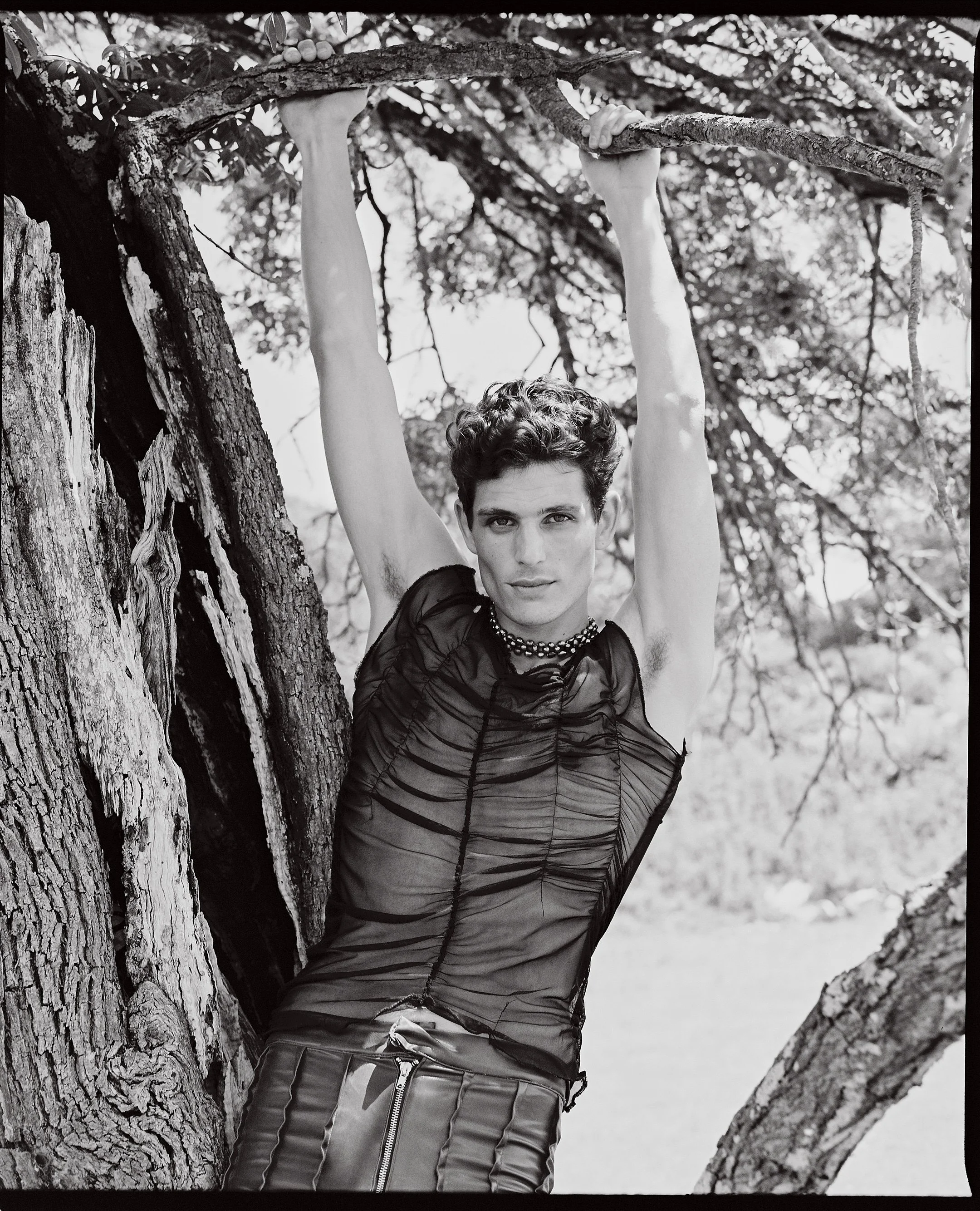A person with short, curly hair hanging from a tree branch outdoors, wearing a black, sheer, ruched top and striped pants, posing with arms stretched up holding the branch, in black and white photography.