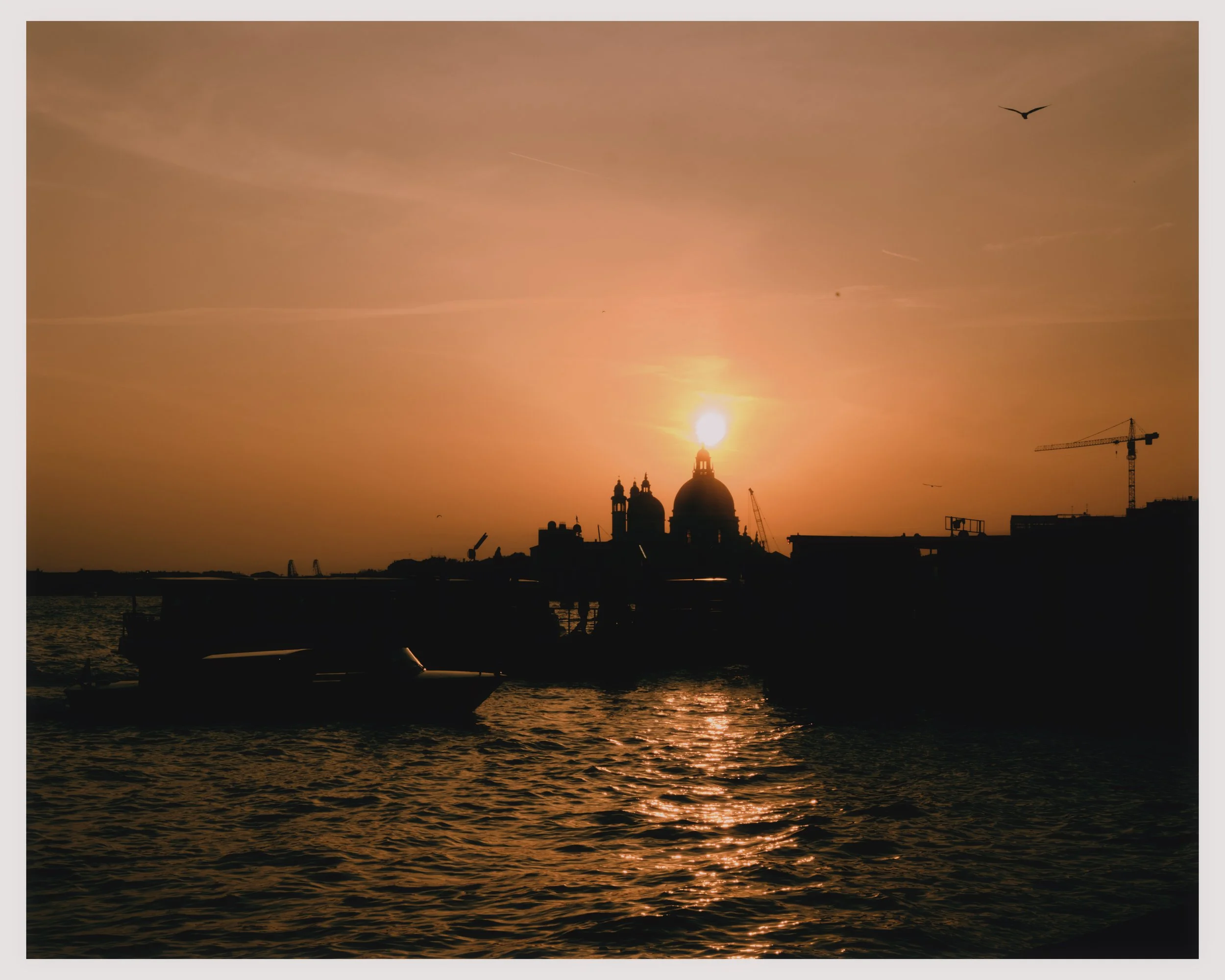 Sunset over a city with a domed building, boats on the water, and construction cranes in the background. A bird is flying in the sky.