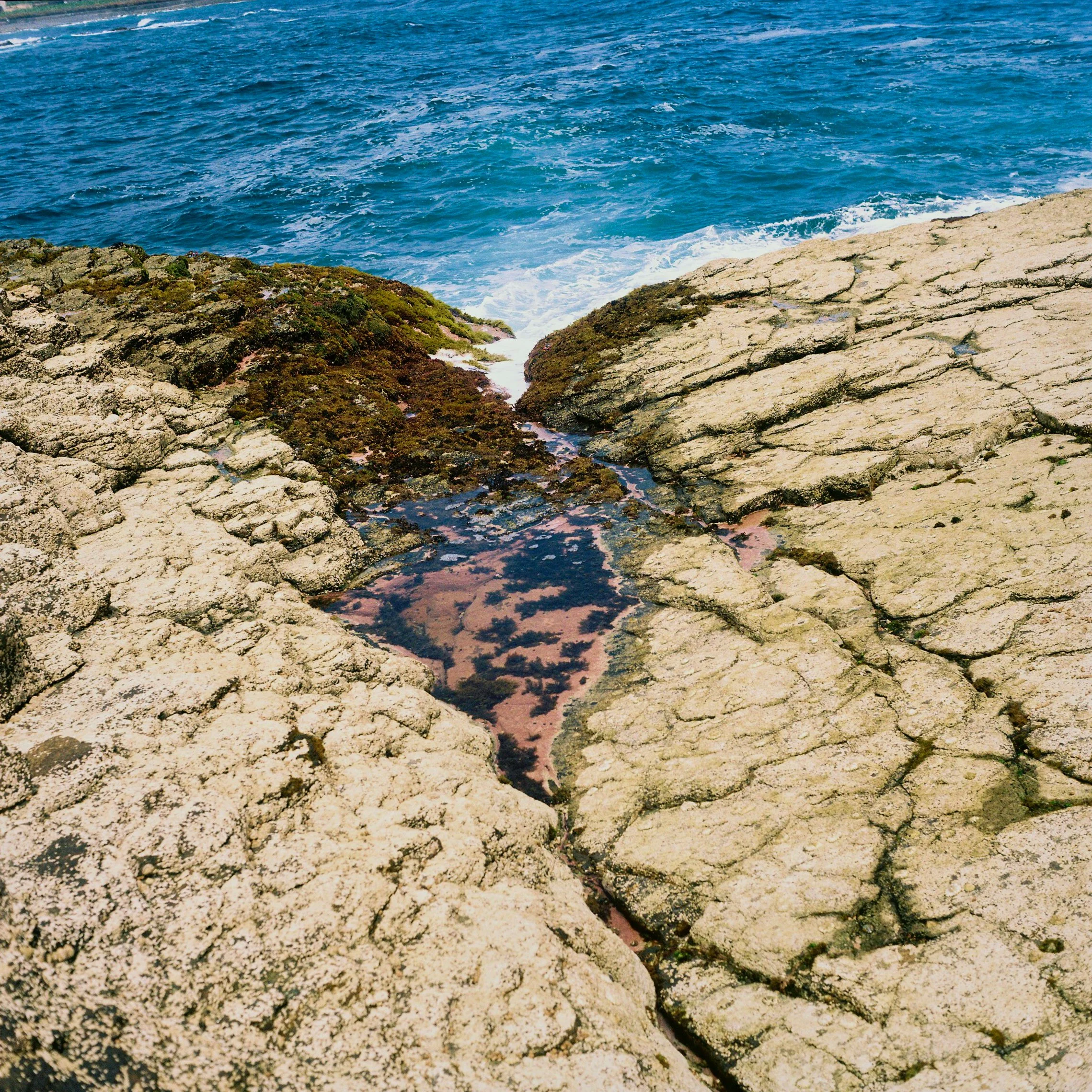 Rocky coastline with tide pools and ocean waves in the background.