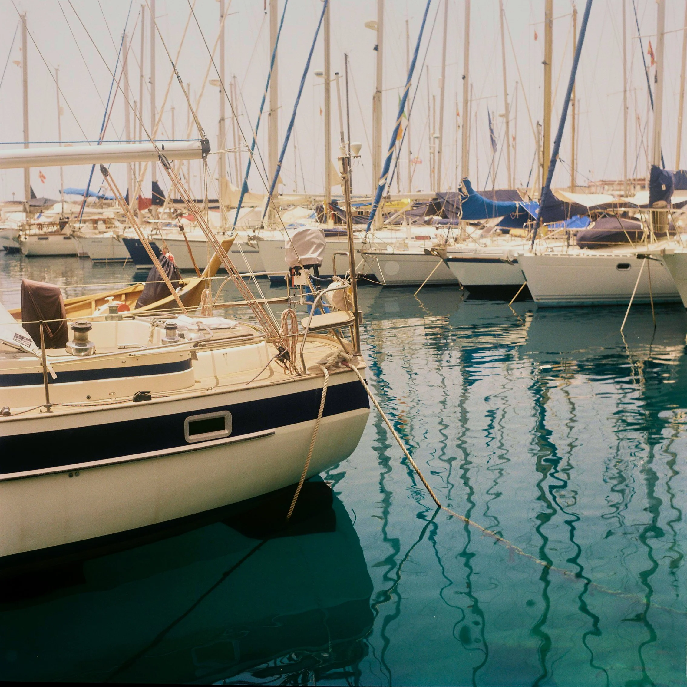 Multiple sailboats docked in a marina with their masts reflected in the water.