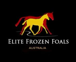 Elite Frozen Foals – Frozen Semen On-Line Auction