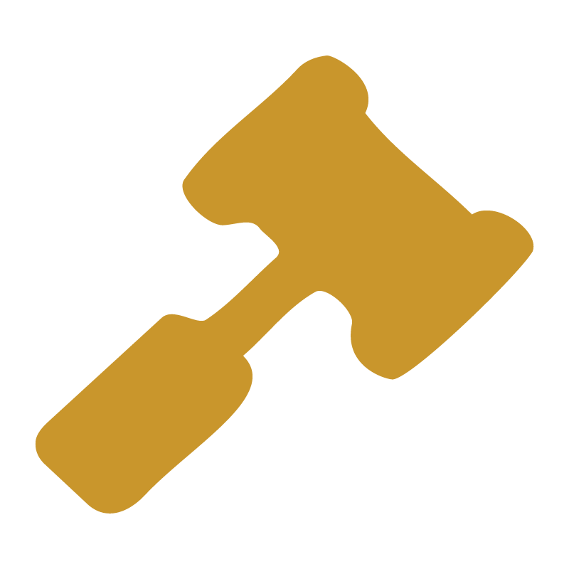 Icon of a gavel, representing law or justice.
