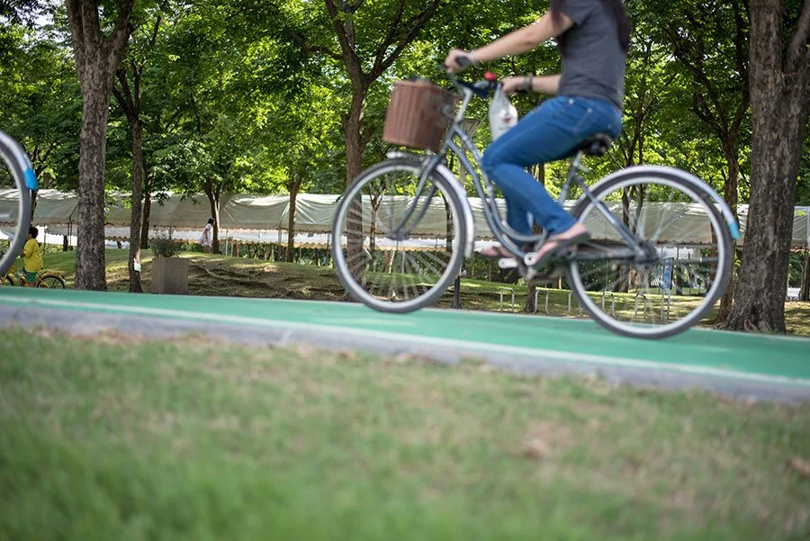 man-riding-bicycle-park.jpg