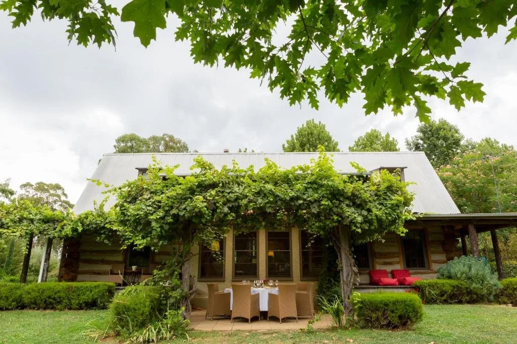The Lodge at Planetrees with a sloped metal roof surrounded by lush greenery, including trees and bushes. There is a sitting area with a table and chairs in front of the house, and a comfortable red outdoor sofa on the porch.