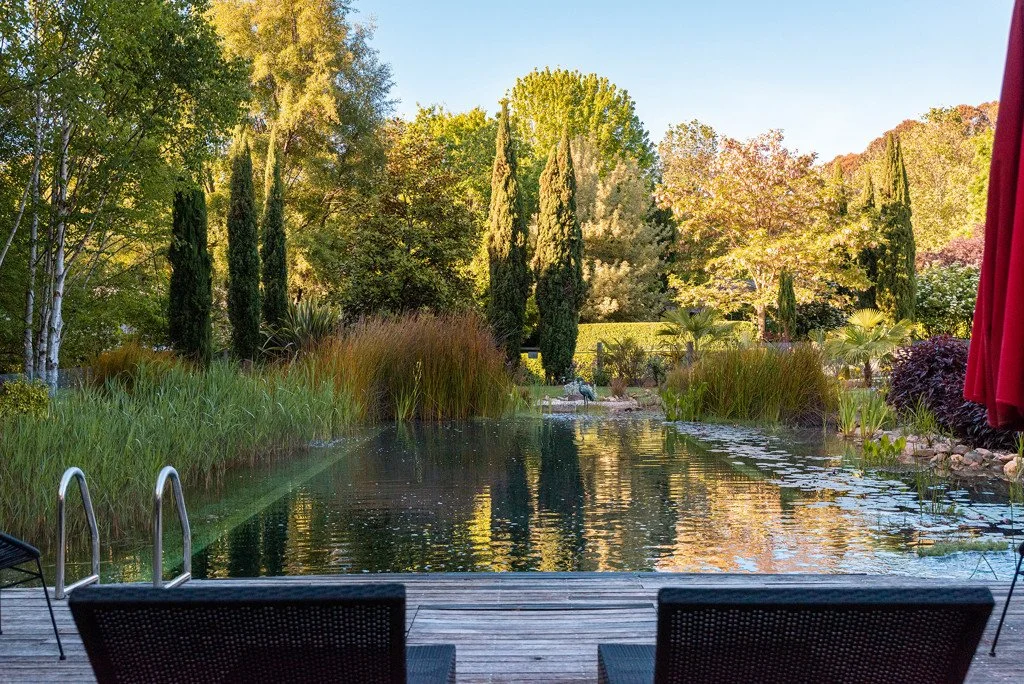 View of Planetrees Estate garden with a swimming pool, surrounded by trees and lush greenery, with a wooden deck and lounge chairs.