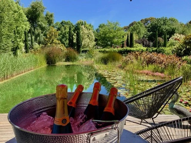 A bucket filled with bottles of champagne on ice on a wooden deck overlooking a lush, green natural pool with lily pads and trees surrounding it under a clear blue sky.