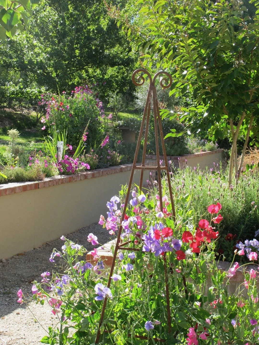 A lush garden with various flowering plants, a small gravel path, a brick-edged flower bed, and green trees in the background, illuminated by sunny weather.