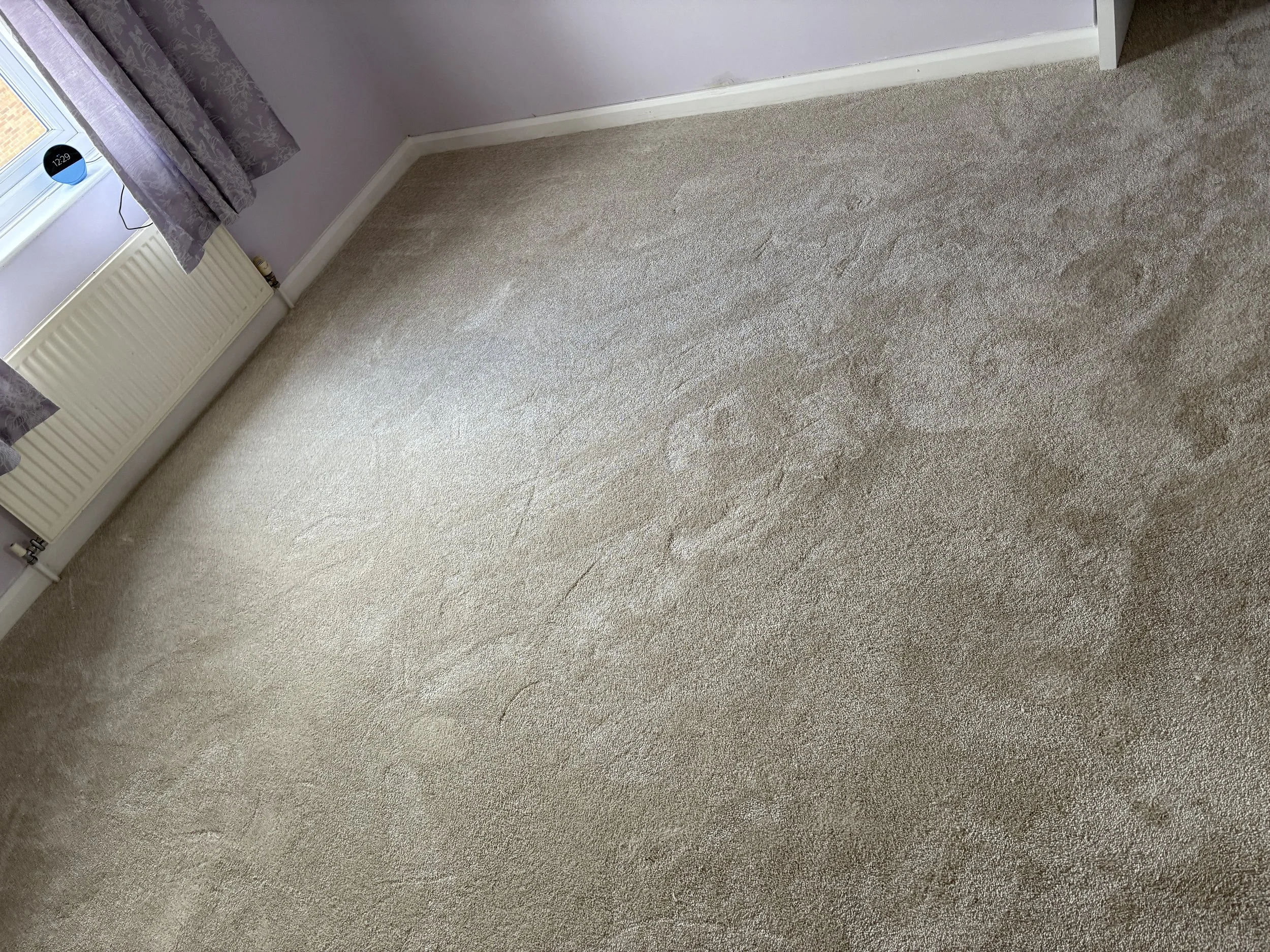 saxony carpet stroud 1