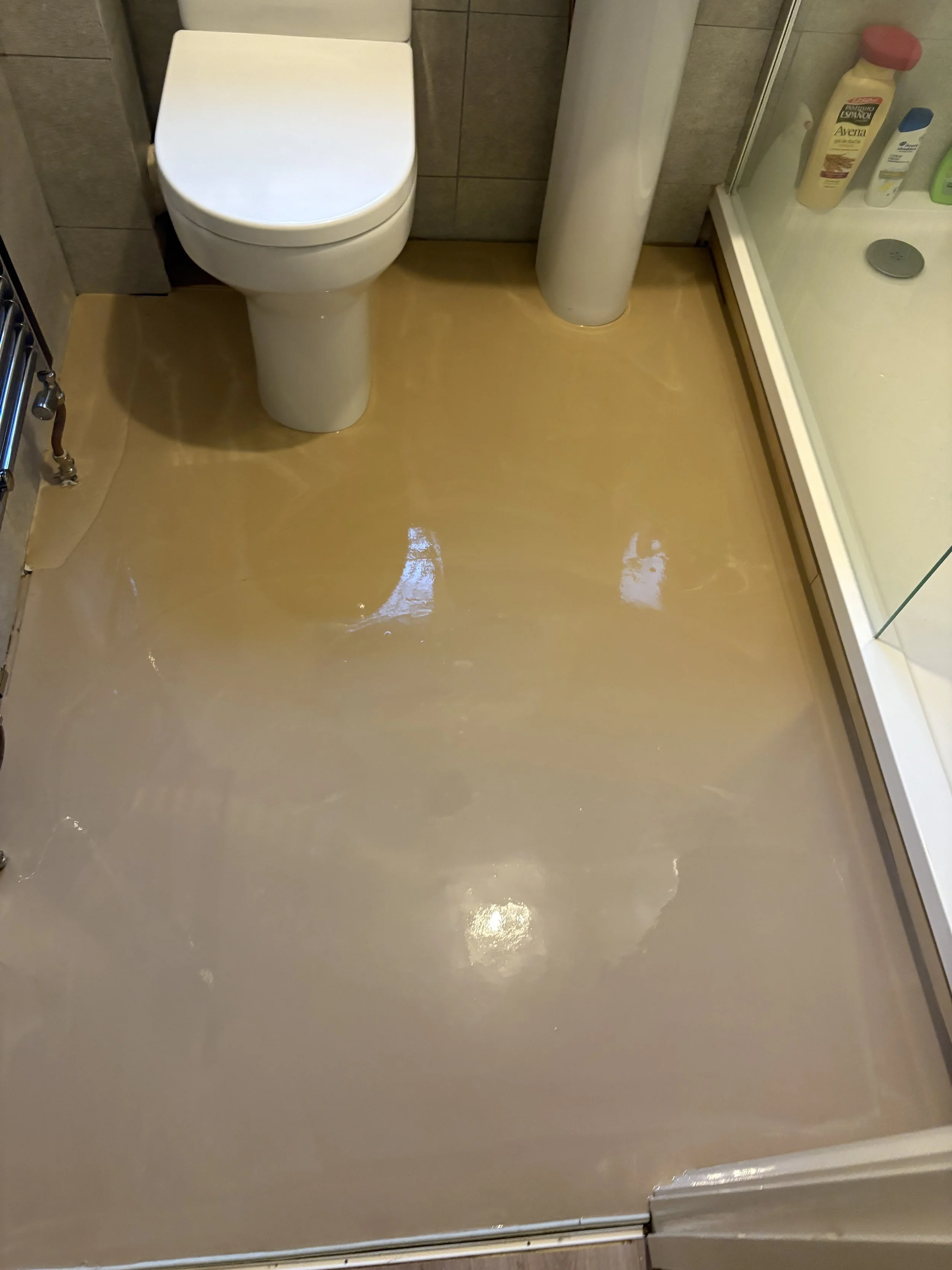 bathroom latex cam dursley.JPG