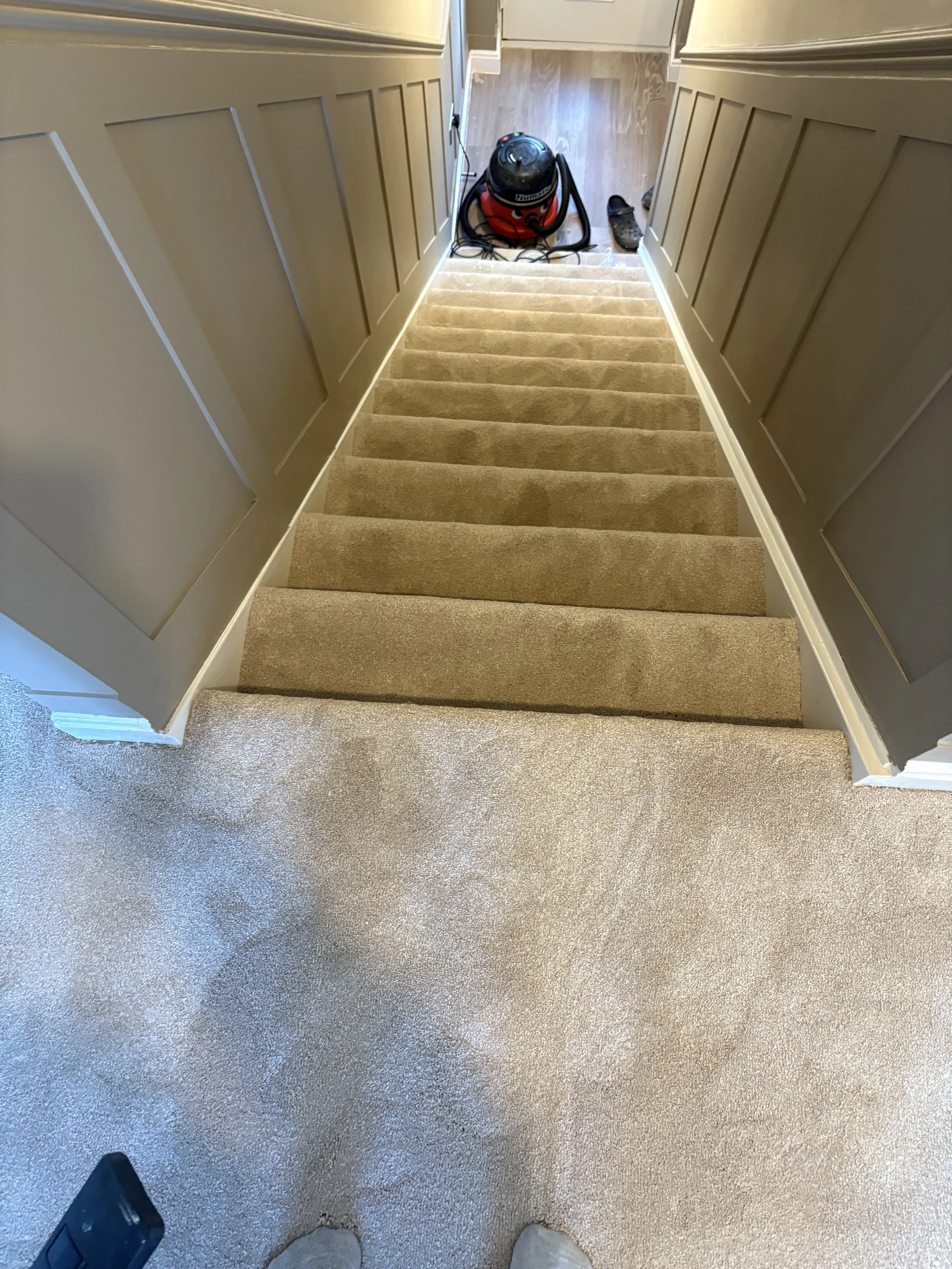 stair carpet whiteshill
