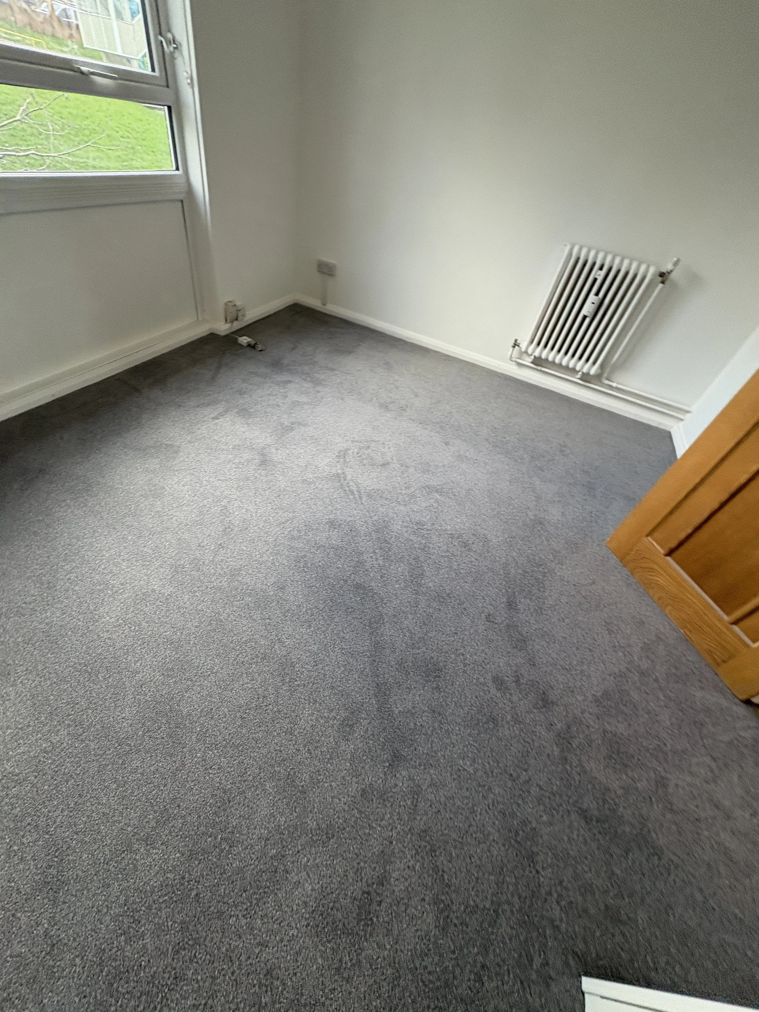 bedroom carpet cam