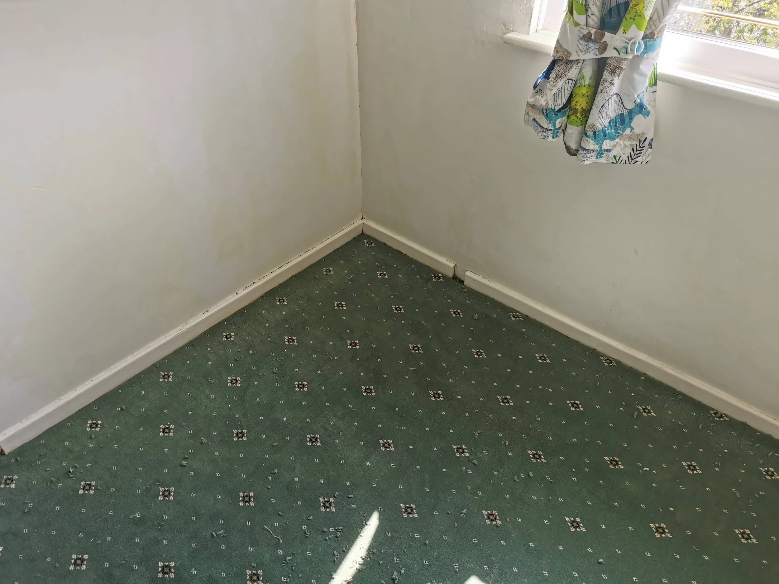 wilton carpet fitted in stroud