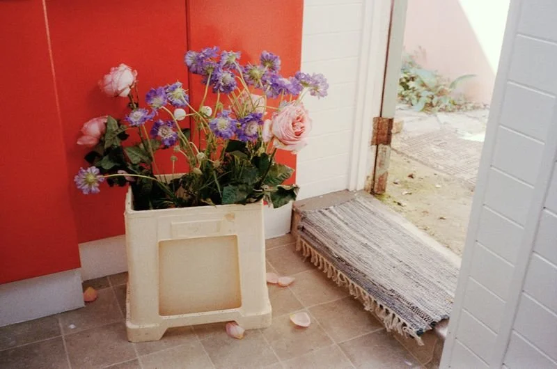 2875251-800w.jpg