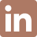 LinkedIn logo with a brown background