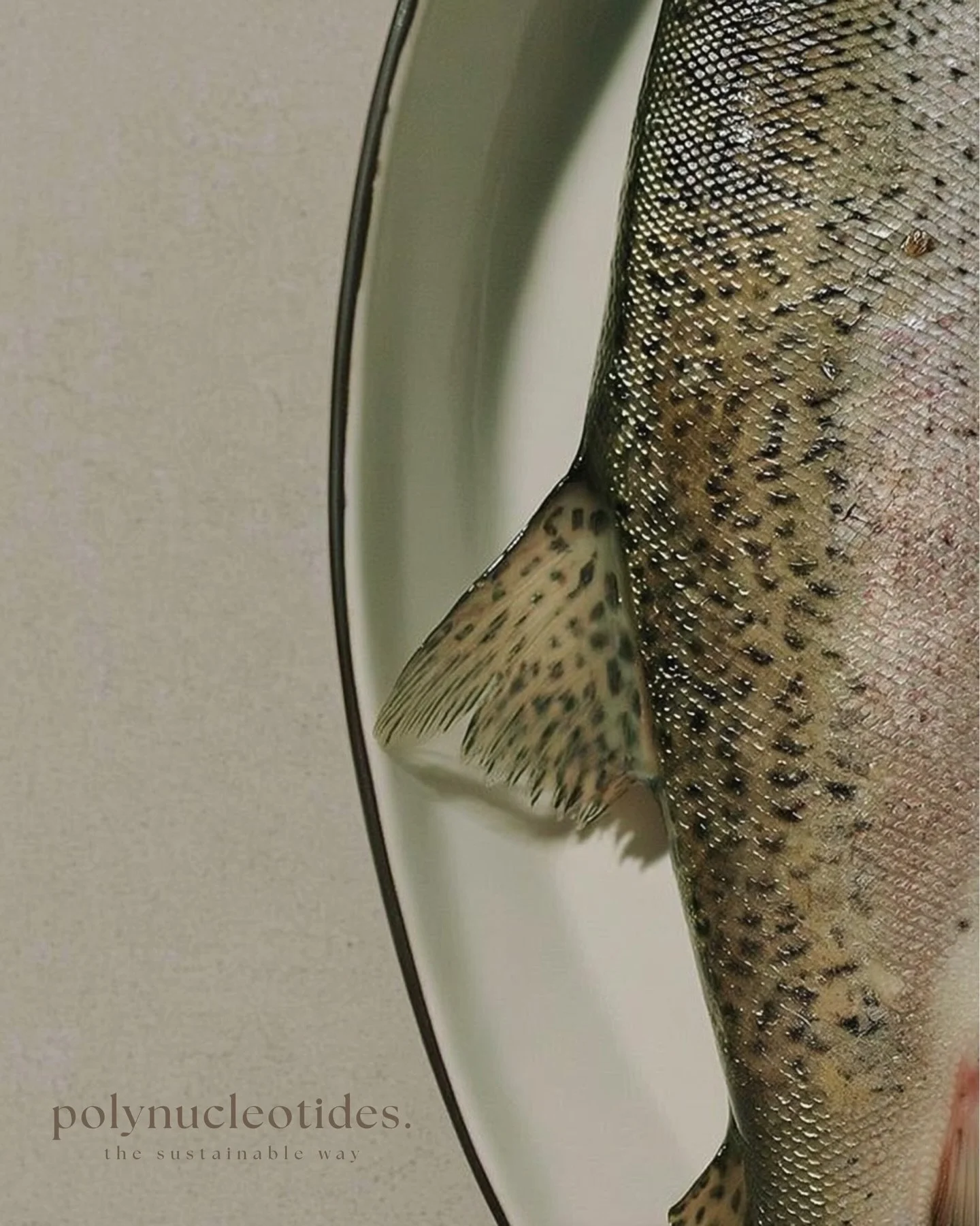 POLYNUCLEOTIDES. 

At h&aelig;lan, we believe in treatments that work with your biology and with the planet.

Our polynucleotide offerings combine regenerative science with our commitment to sustainable care. These highly purified biopolymers support