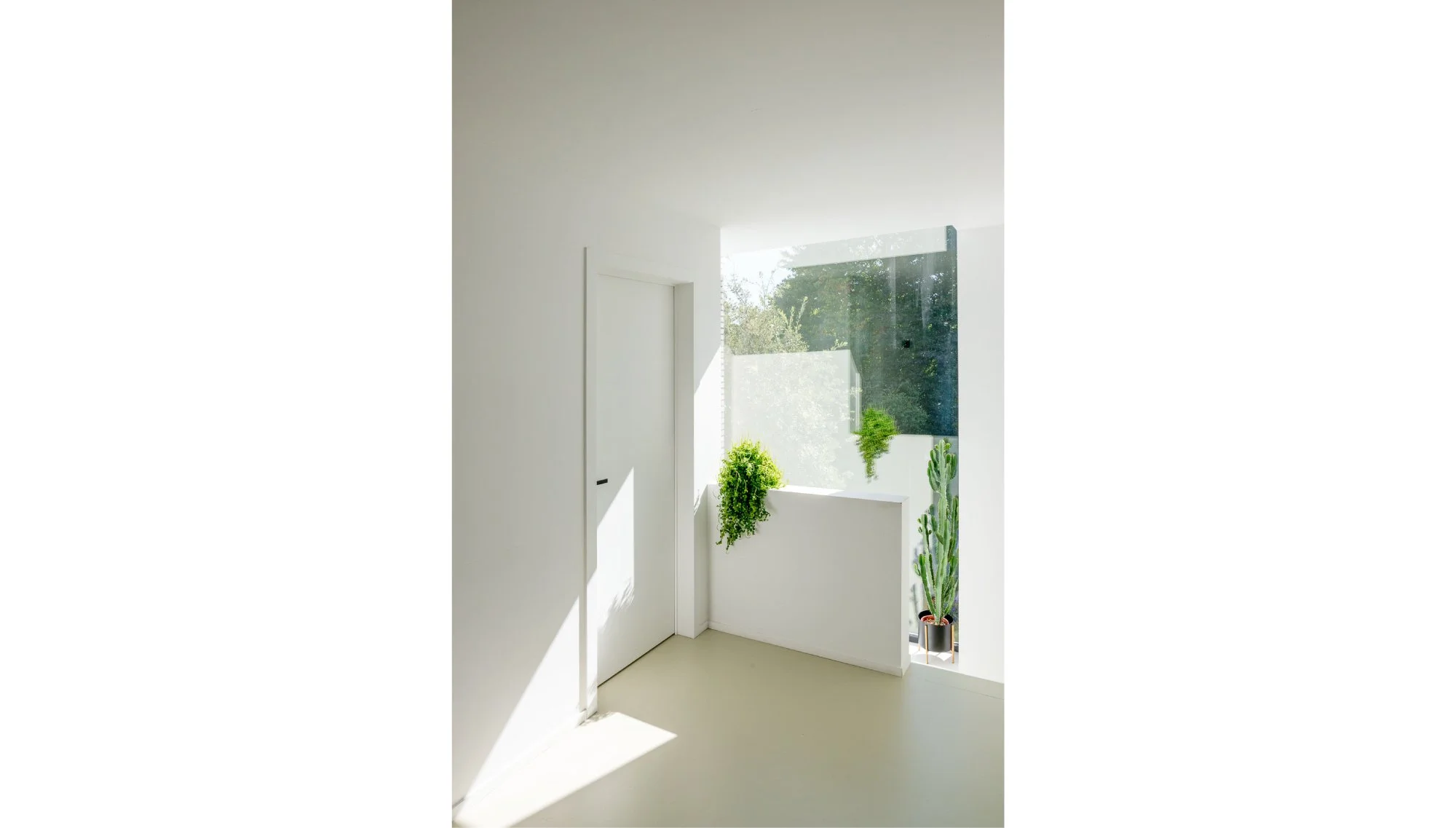 Lichte, minimalistische kamer met groene planten bij raam en witte muren.