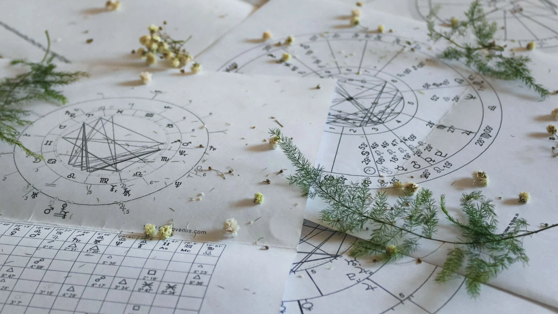 How Astrology Helps You Understand Your Purpose