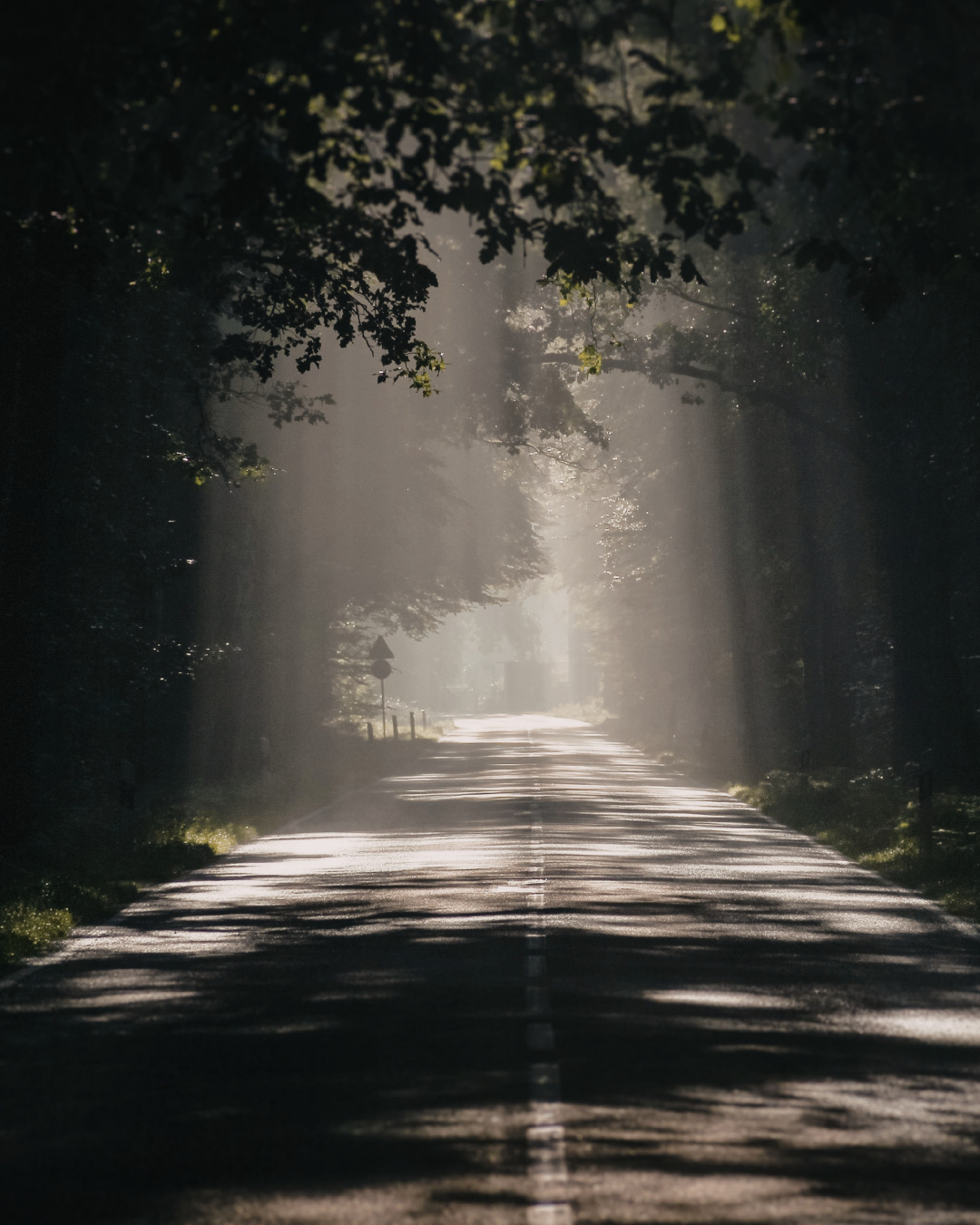Saturn in the Birth Chart: The Soul's Teacher and the Path to Mastery
