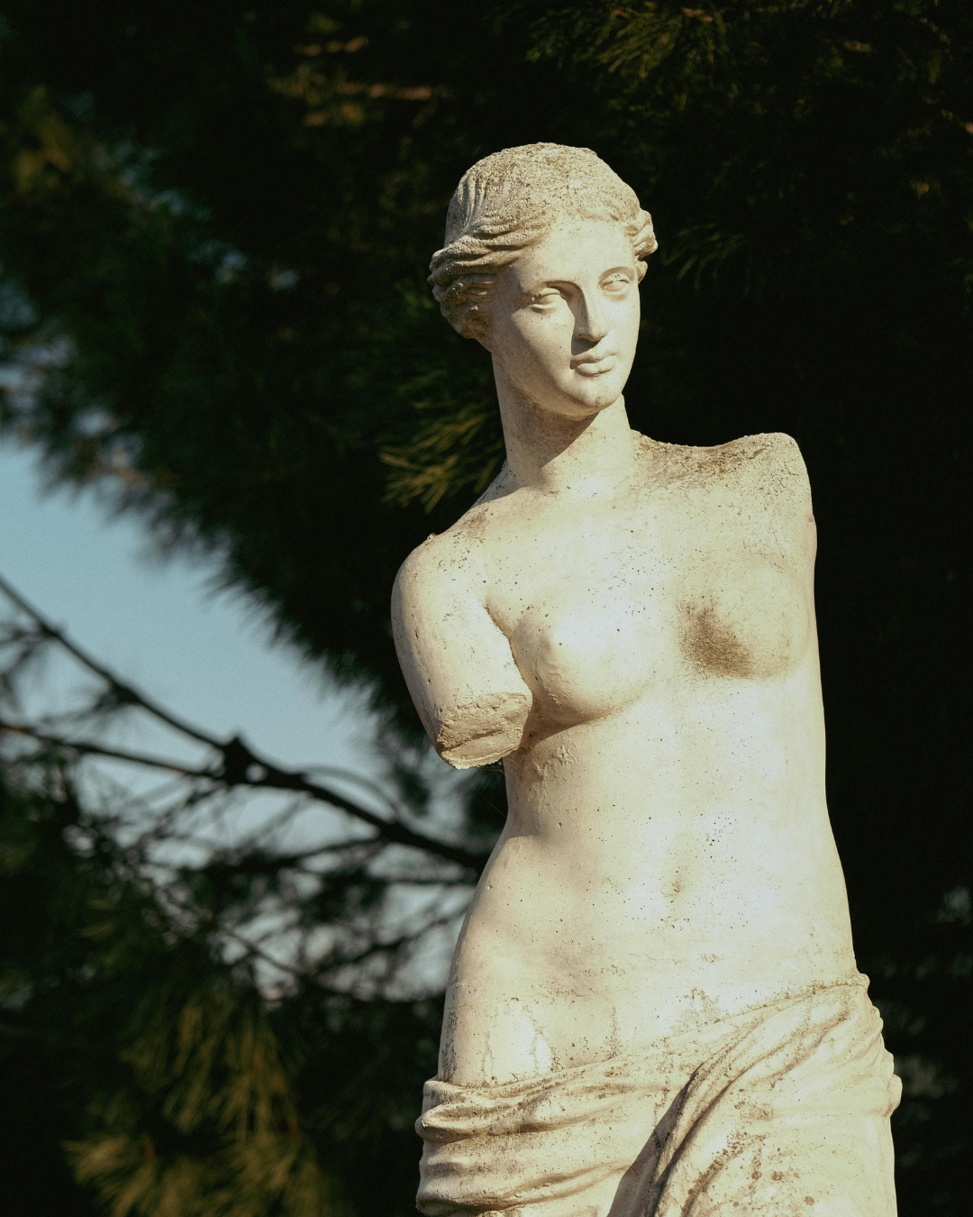 Venus in the Birth Chart: How You Love, What You Value, and What Your Soul Longs For