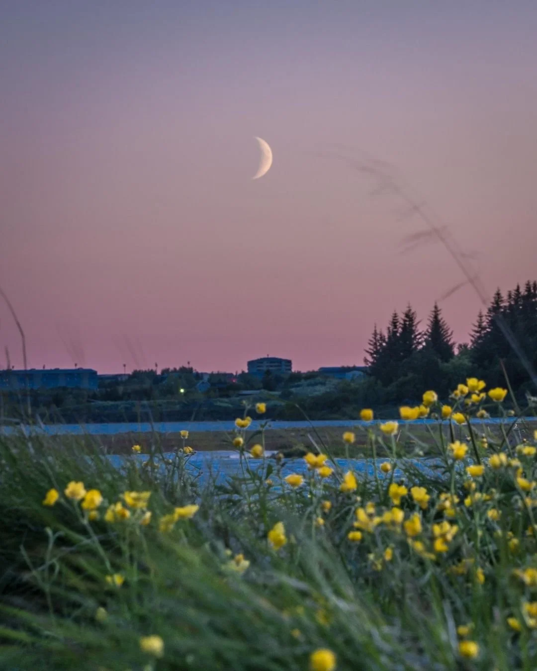 New Moon in Virgo: What It Actually Means