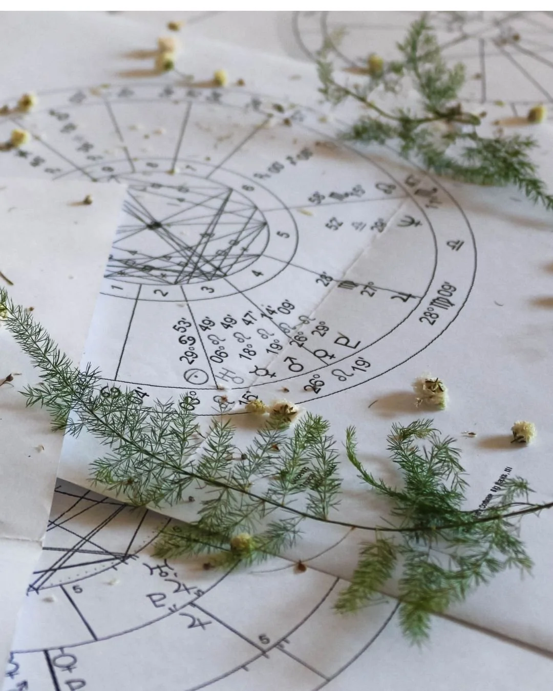 Your Birth Chart Is a Map of Your Soul