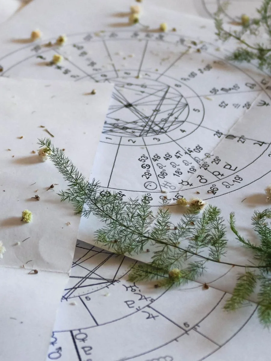 Astrological chart with handwritten markings and botanical elements, representing the study of astrology as a living, natural language.