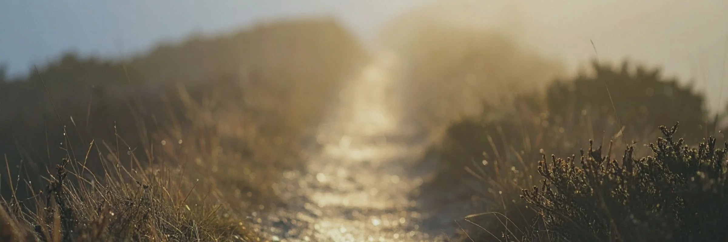 Transits: Astrological Initiations – Early Bird Payment Plan