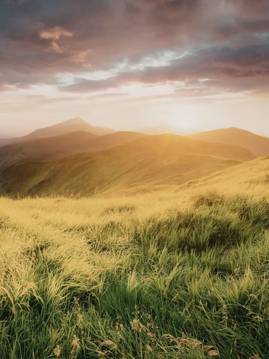 Soft rolling hills under golden light, representing intuitive perception, trust, and expanded awareness