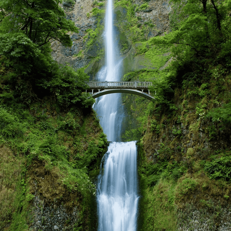 Waterfall flowing through a forest canyon symbolising active transits and life movement.