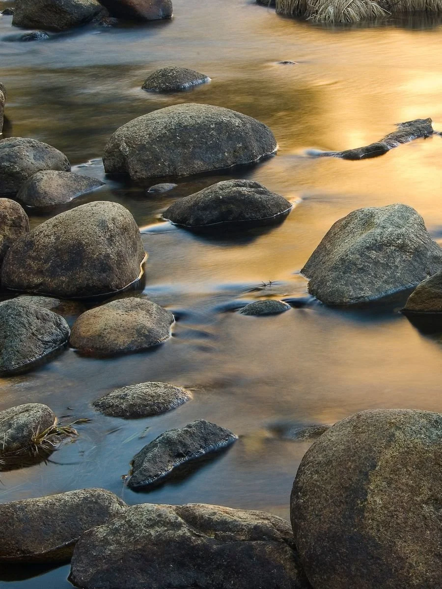 Intuitive & Energetic Awareness Course – Payment Plan