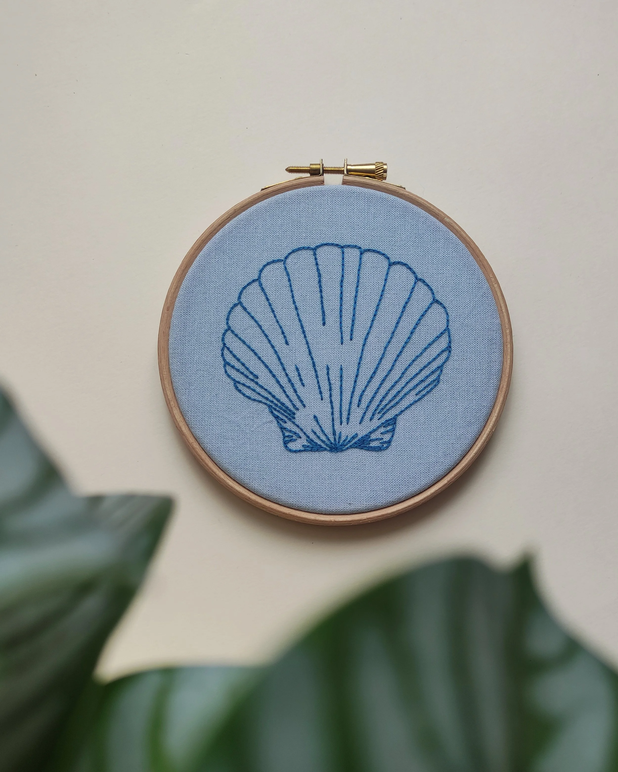 Coquille Saint-Jacques bleue