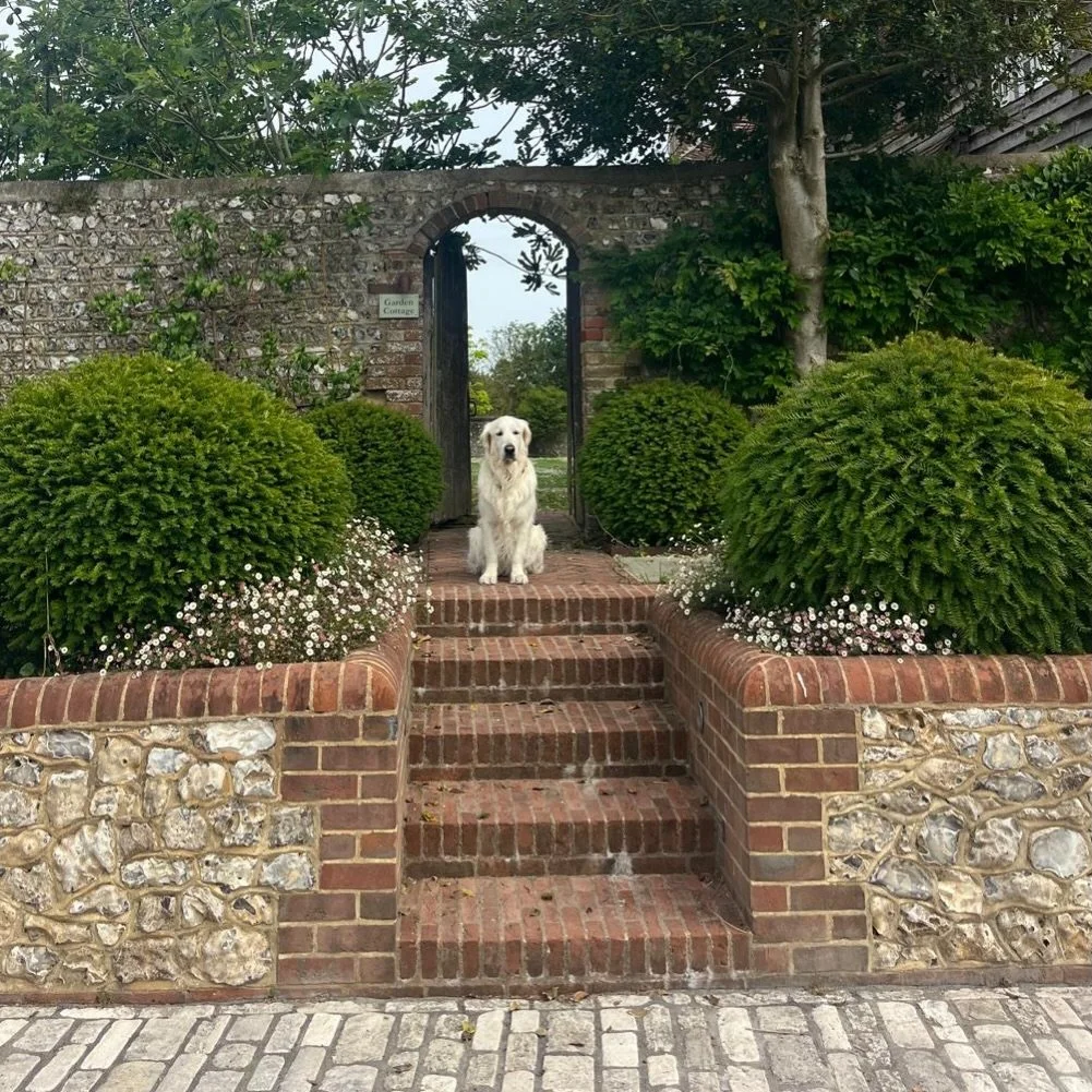 Every project needs a focal point.

Sometimes it&rsquo;s the brickwork.
Sometimes it&rsquo;s the planting.

And sometimes it&rsquo;s a fluffy white dog called Tigger who refuses to move until his portrait is taken 🐾

#PineaDesigns #GardenDesign #som