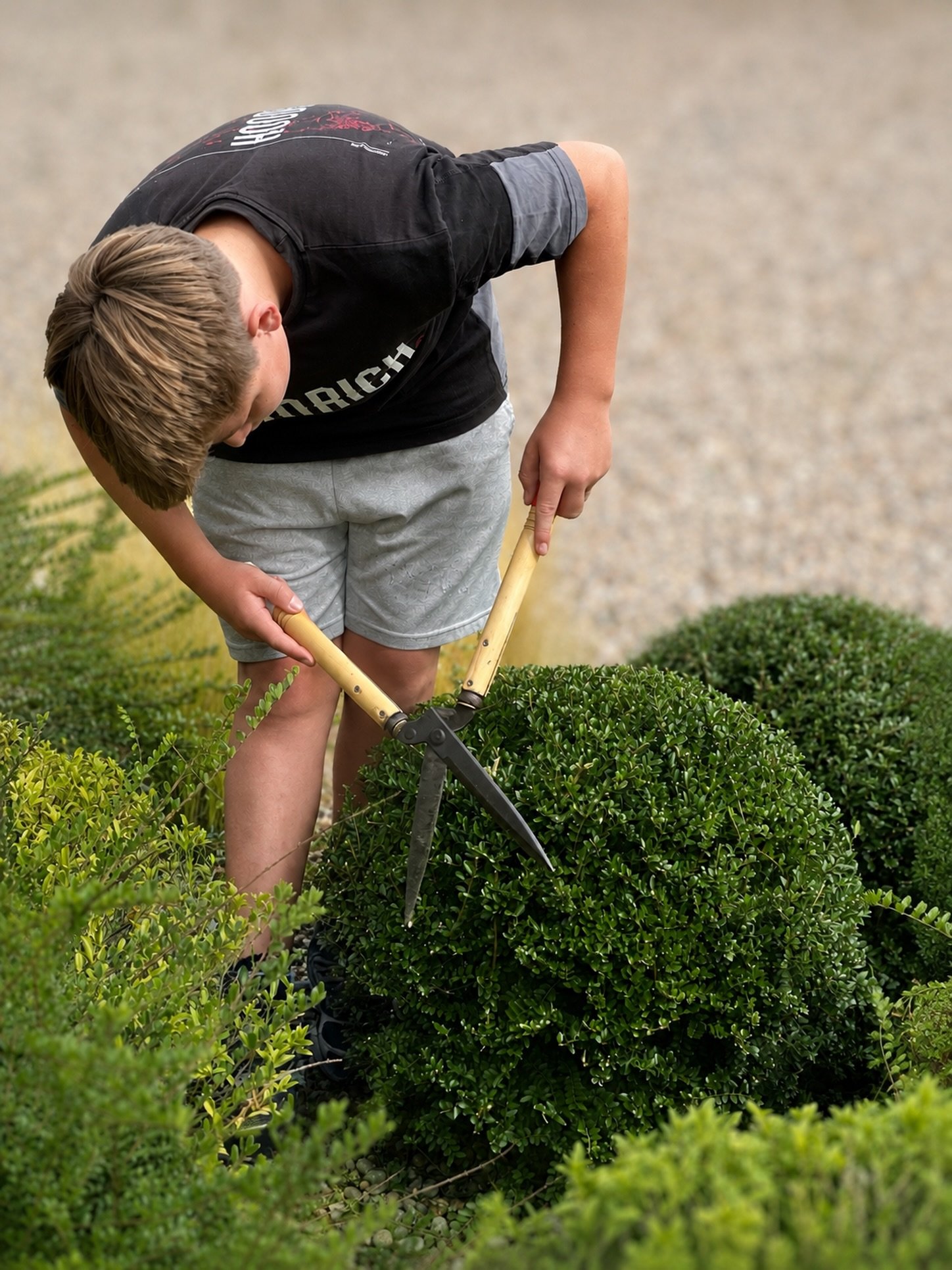 🌿 Work Experience Day at Pinea Designs

Always great to welcome the younger generation for a little taste of what a day in the life at Pinea looks like 🌱

Even better when they&rsquo;re a dab hand at clipping ✂️

Landscaping really is such a fantas
