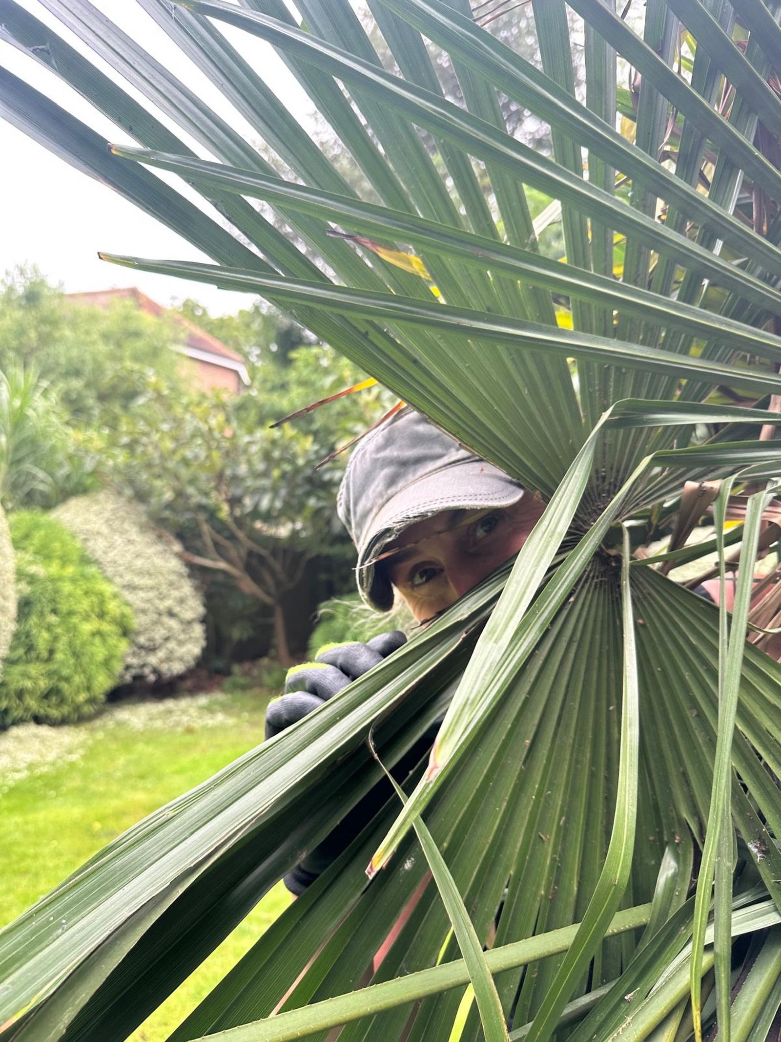 🌿 Behind the scenes at Pinea

You&rsquo;ll often find Debbie in the office, keeping projects moving, working through client briefs and turning ideas into garden designs.

But today, she&rsquo;s out in the field, keeping a close eye on the maintenanc