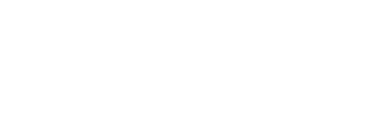 Nuno Martins Strategy Studio