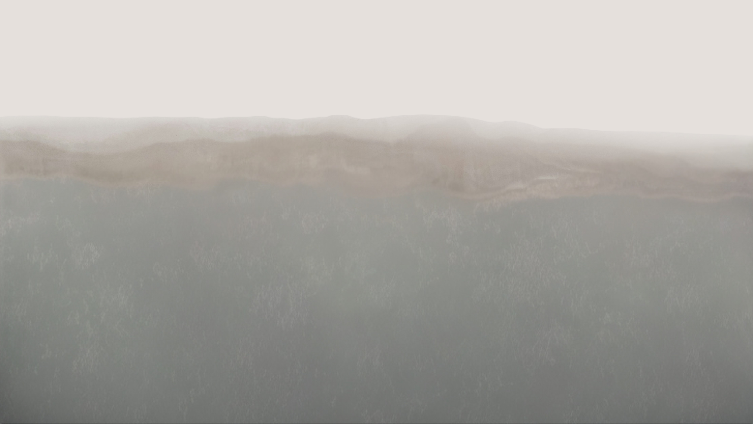 Aerial view of a beach where waves have receded from the shoreline.