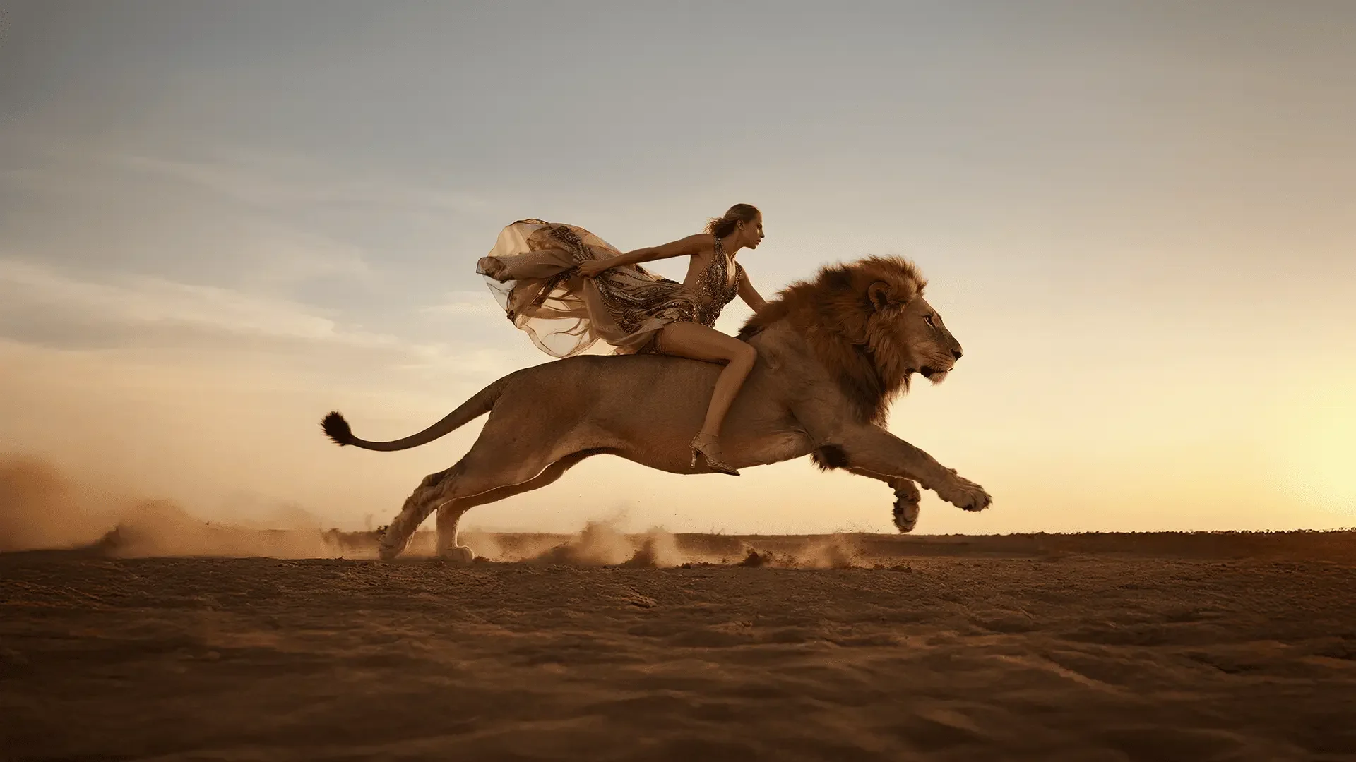 lion background3 (1).webp