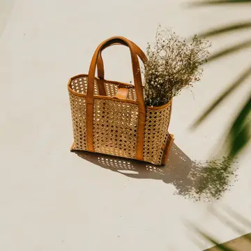 Magnolia cane woven and leather tote in tan with structured silhouette.png