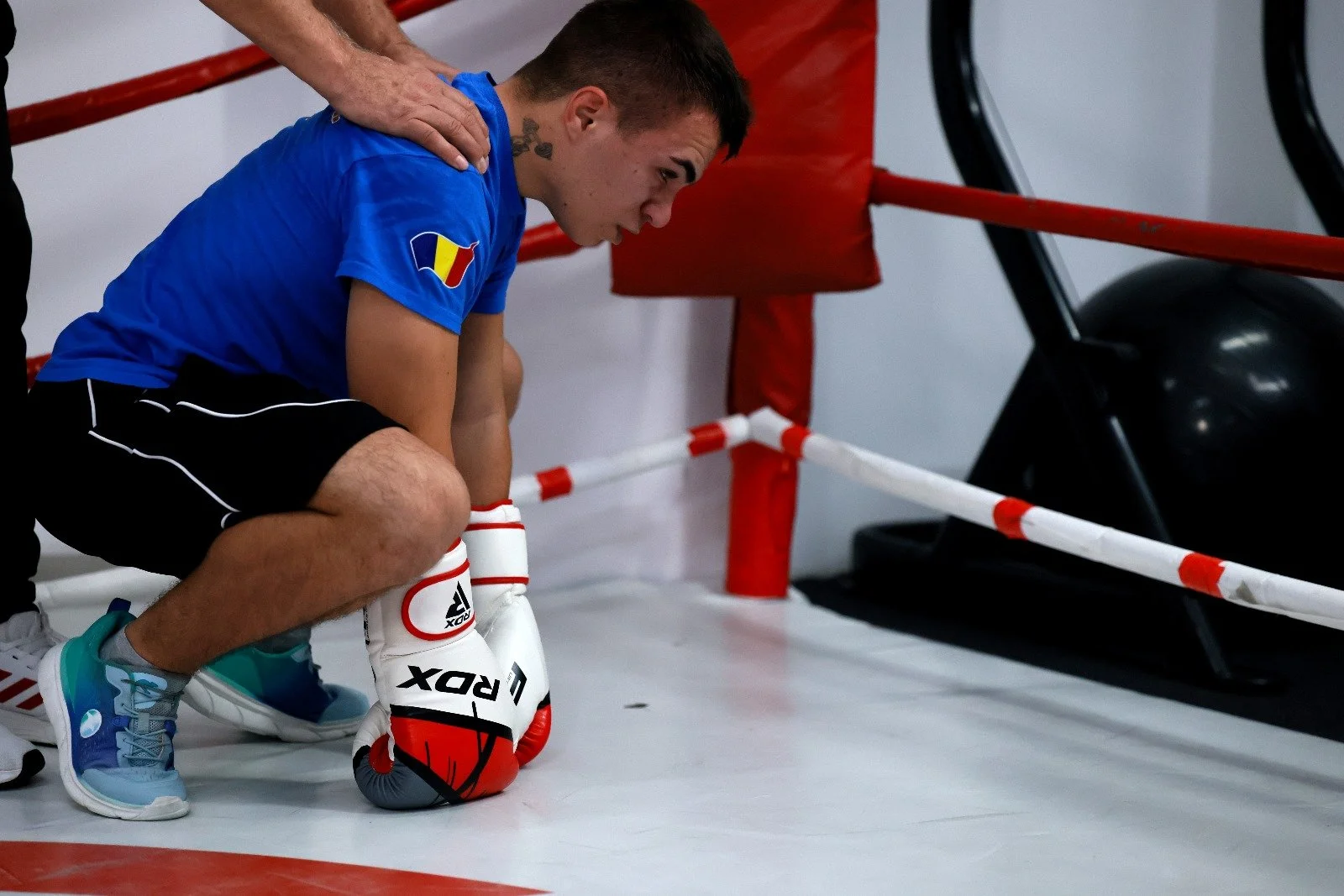 A young male boxer kneeling in a boxing ring, receiving encouragement or assistance from a trainer. The boxer is wearing white boxing gloves, a blue shirt with a Belgian flag patch, and workout shoes. The scene is inside a boxing gym.