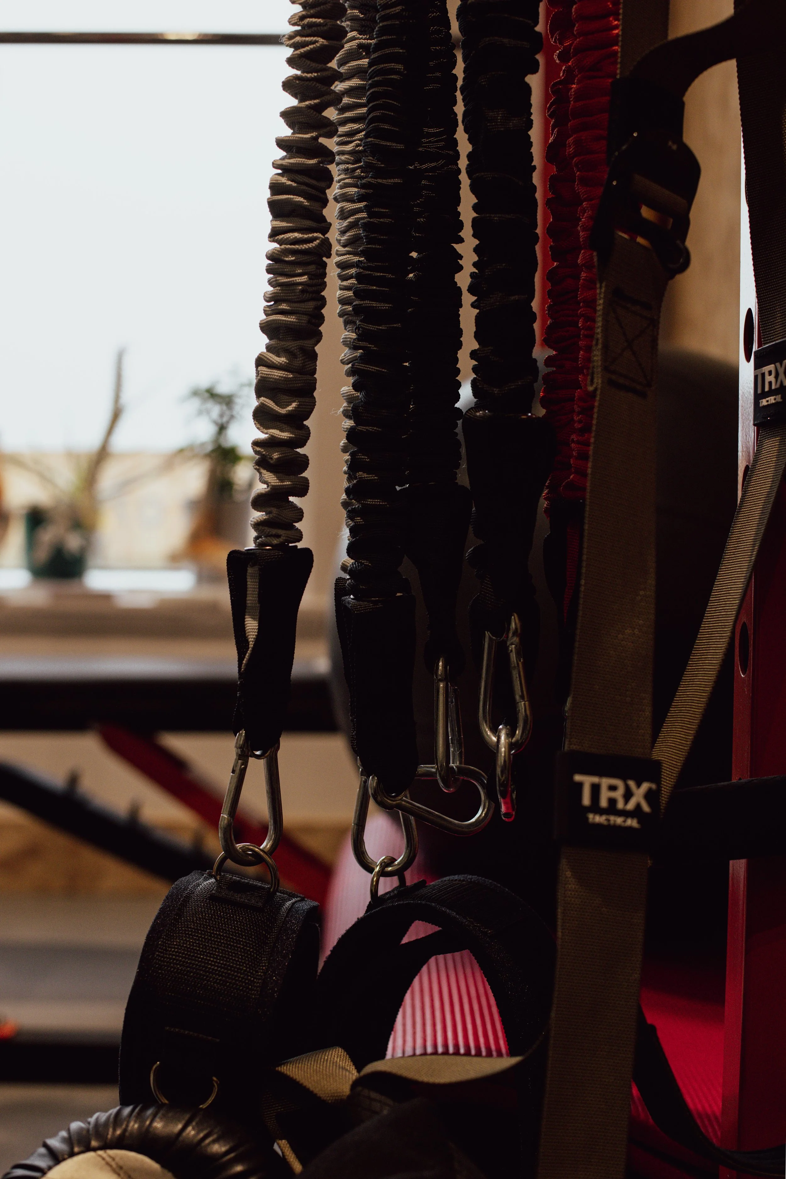 Fitness resistance bands hanging on a rack with gym equipment visible in the background.
