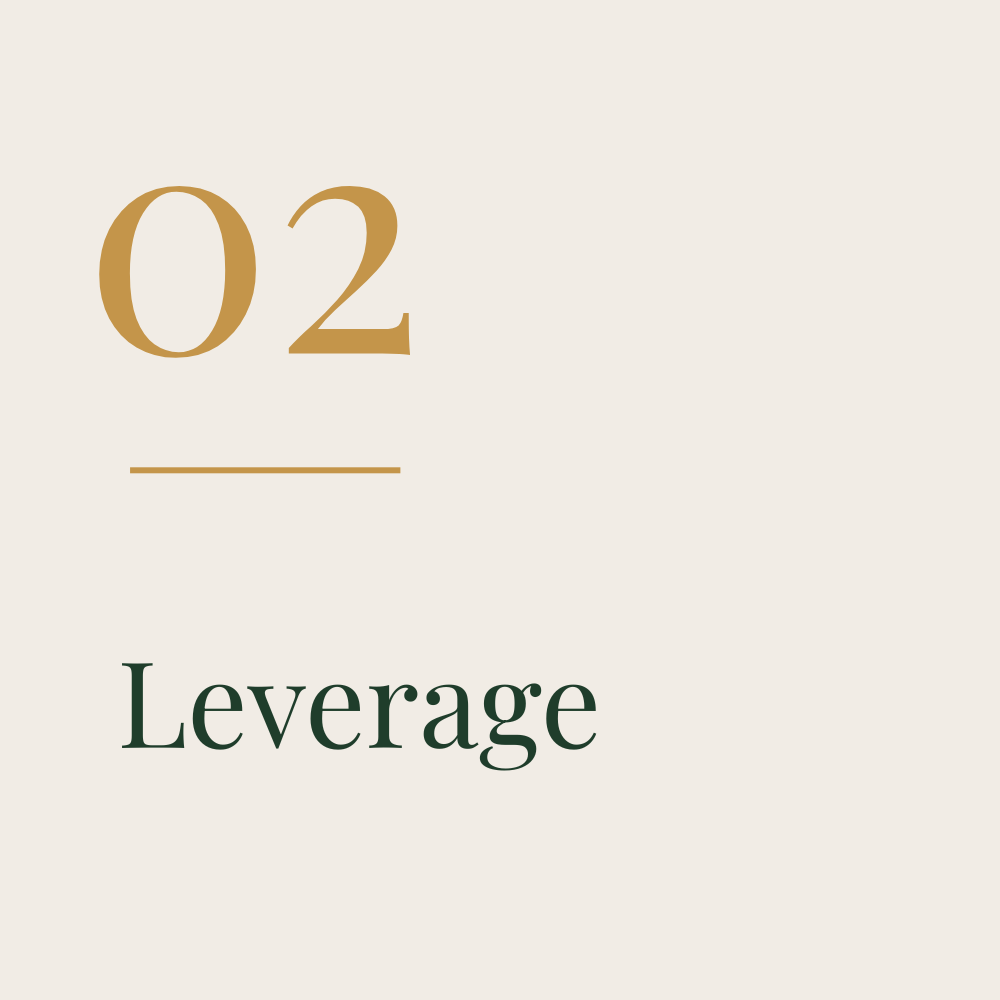 Afbeelding met de tekst '02', een onderscore en de term 'Leverage'.