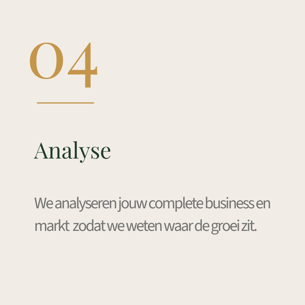 Pagina met titel '04 Analyse' en tekst over complete business en markt analyse voor groei.