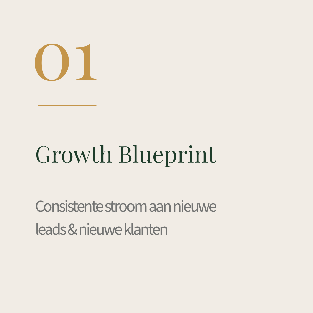 Slide met titel 'Growth Blueprint' en nummer 01, met ondertitel 'Consistente stroom aan nieuwe leads & nieuwe klanten' op een lichte, neutrale achtergrond.