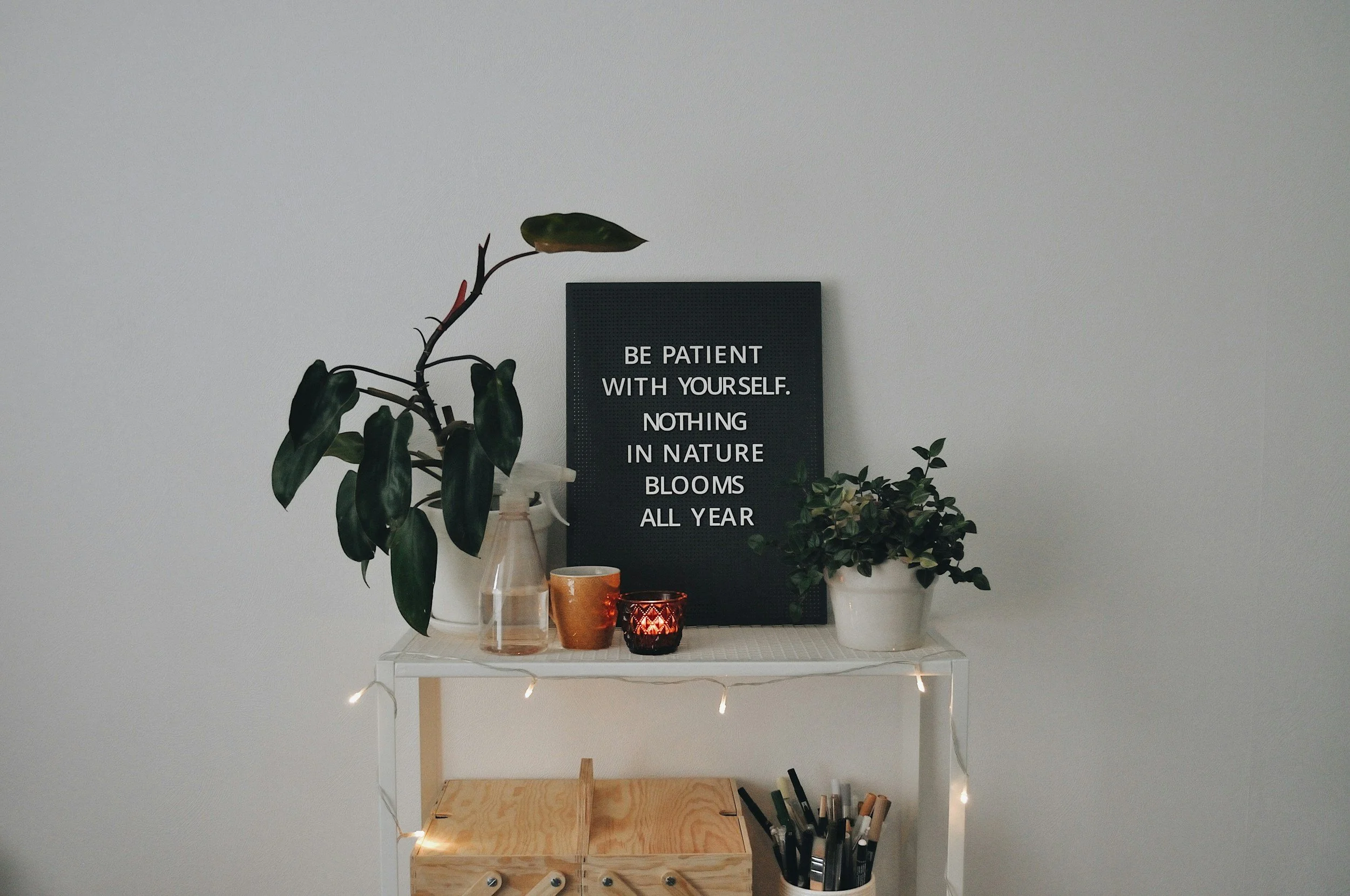A white shelf with potted plants, a framed quote, candles, and markers on it against a light-colored wall.