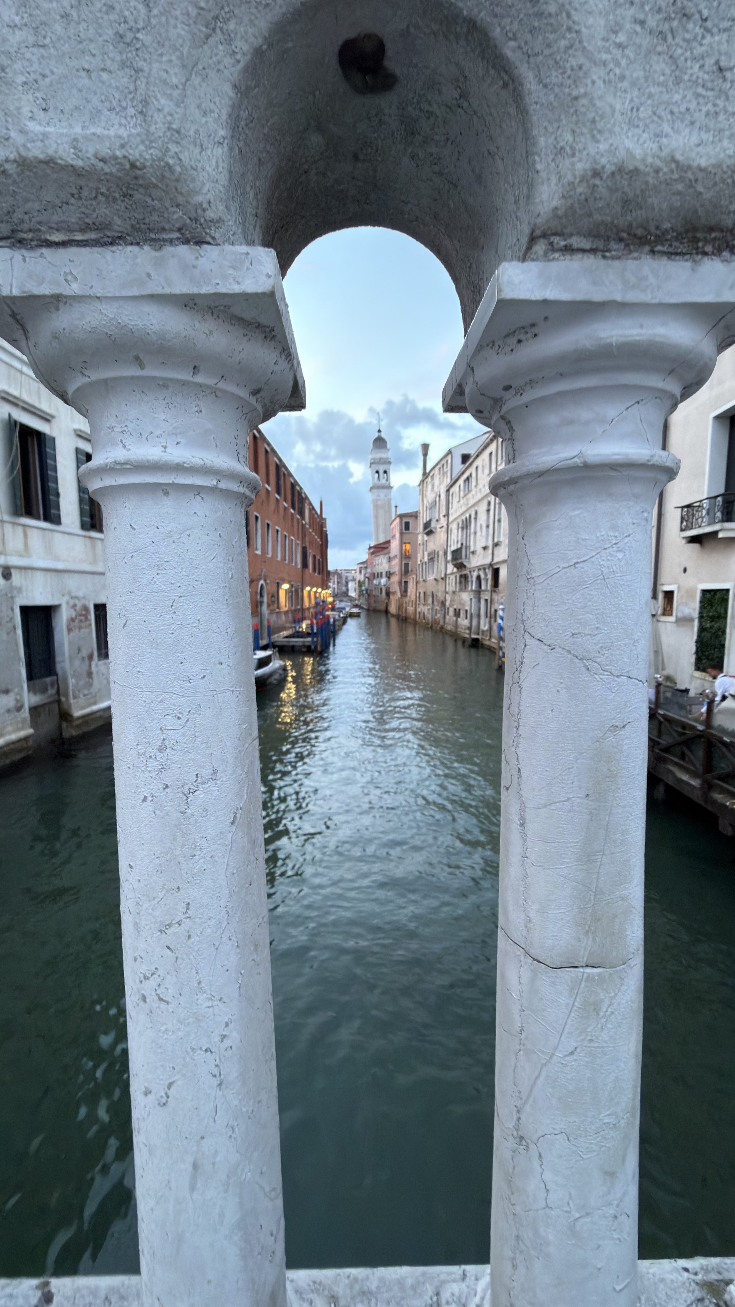 IMG_7853.jpeg