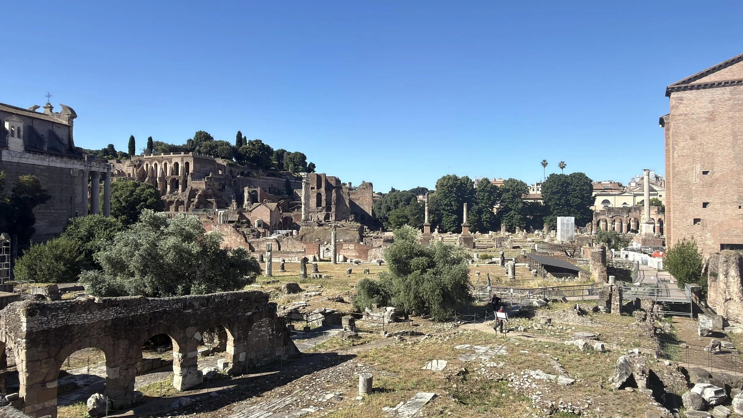 IMG_9403.jpeg