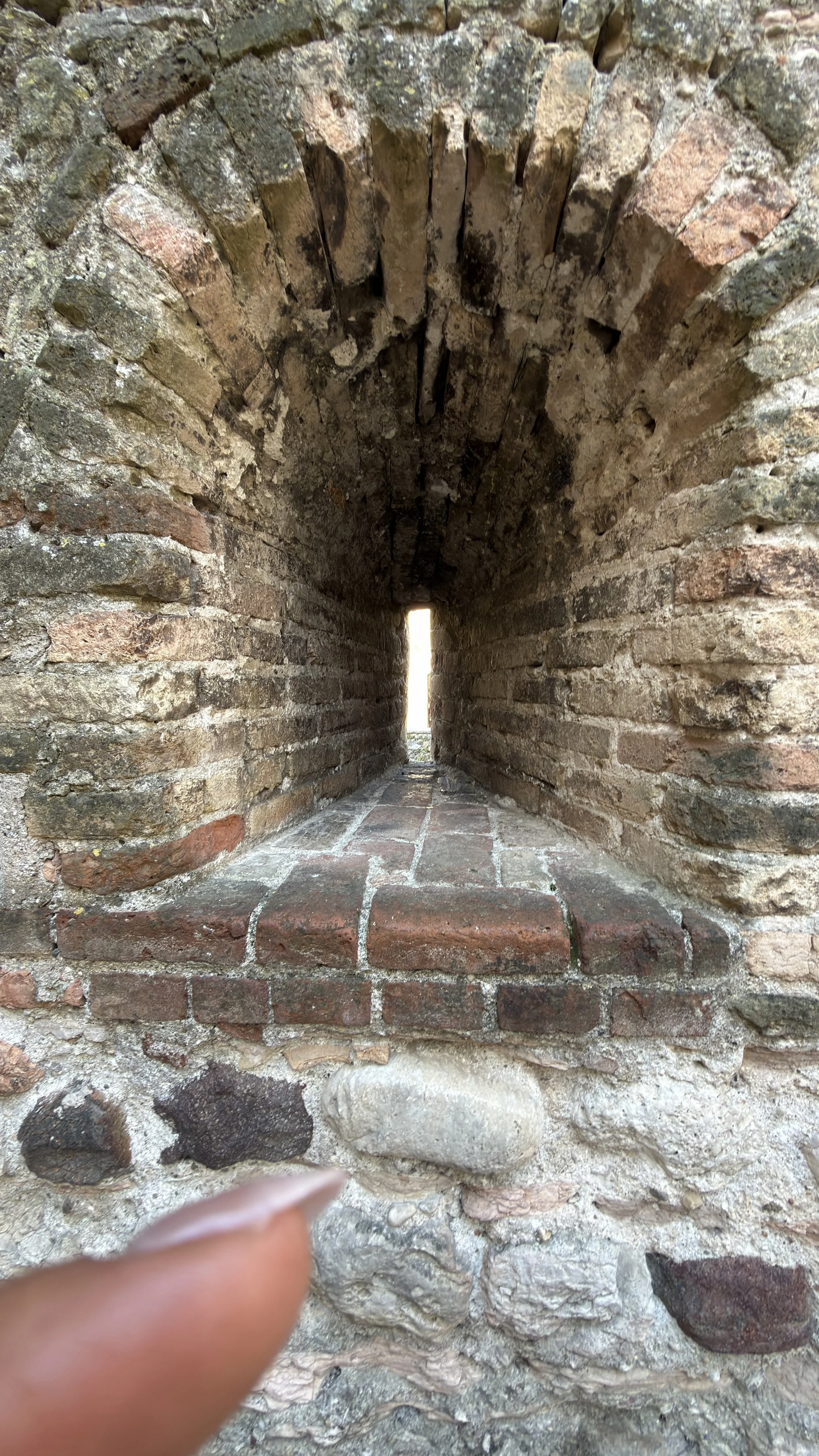 IMG_8490.jpeg