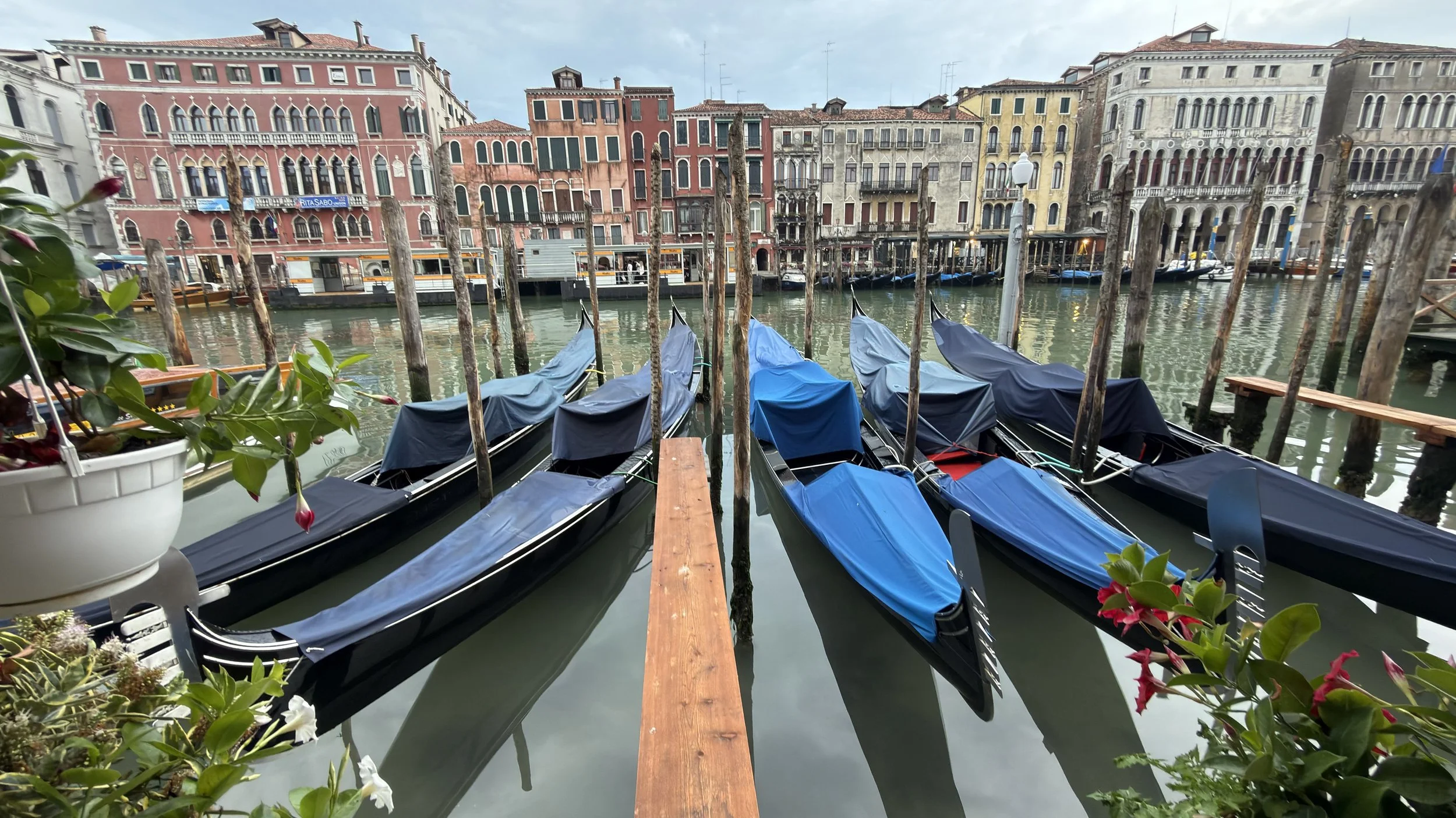 IMG_7727.jpeg