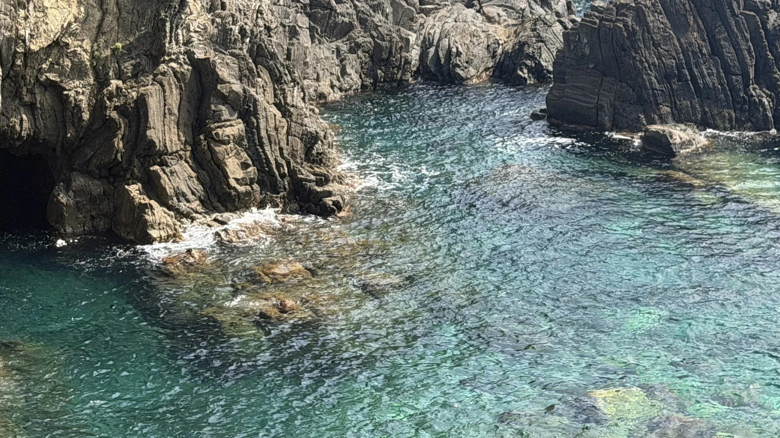 IMG_8841.jpeg